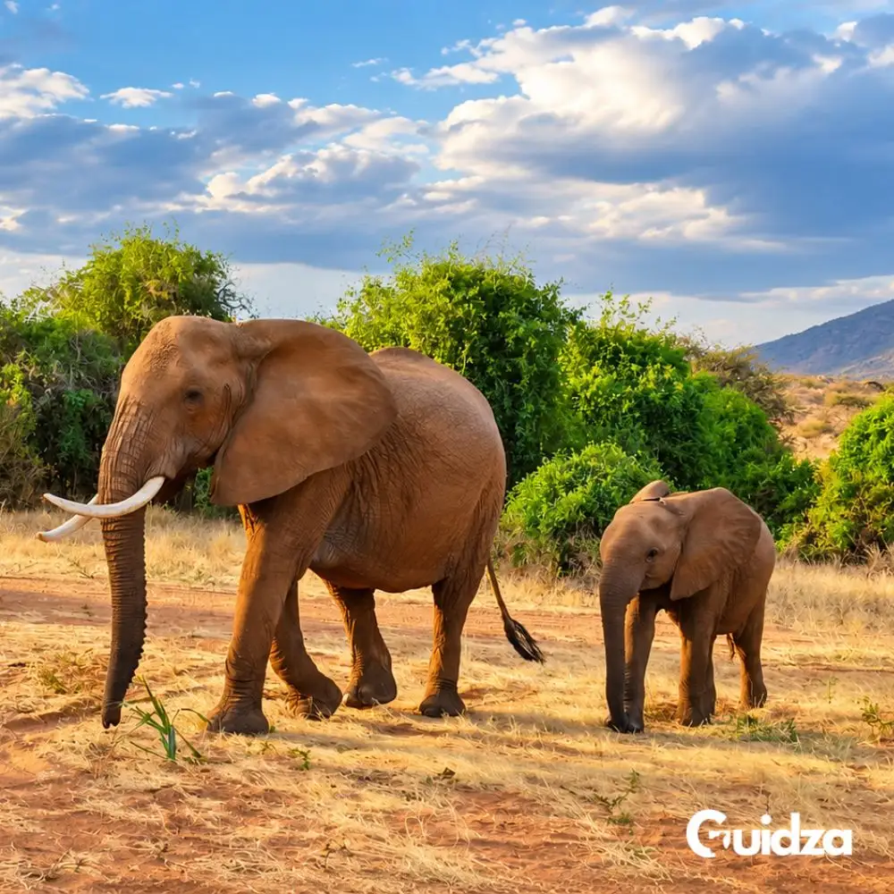 Kenya: Samburu Special Five Wildlife Safari with Transfers 4