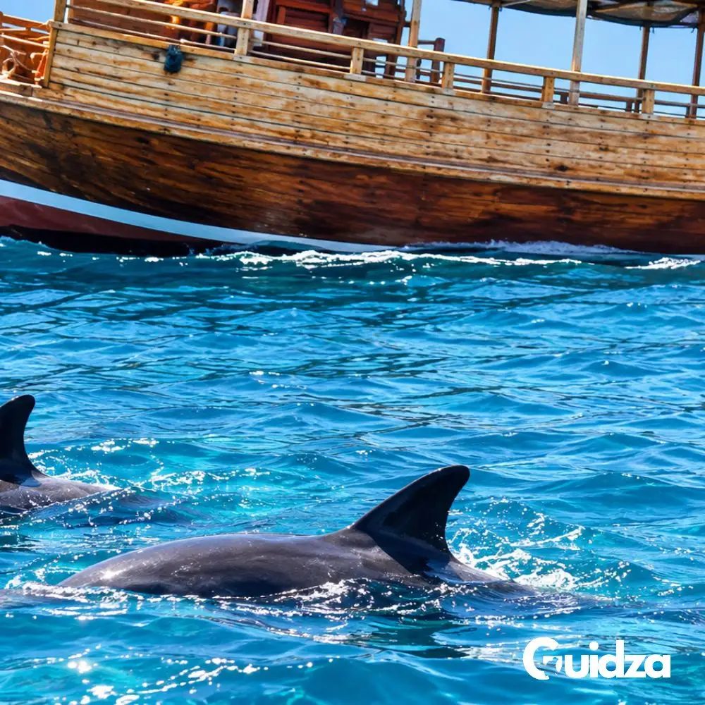 Kenya: Watamu Dolphin Watching Experience with Transfers 4