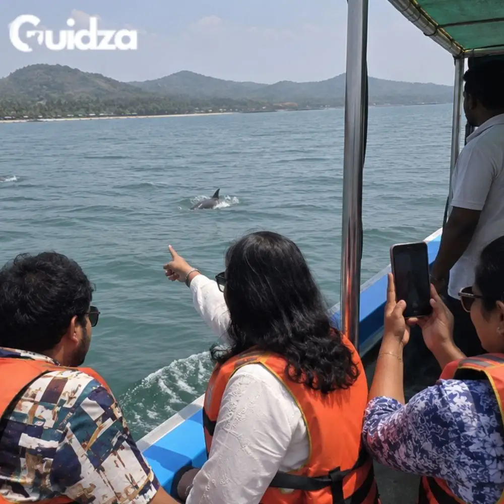 Bengaluru: Dolphin Watching Tour Karwar 5