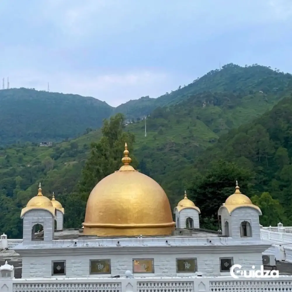 Himachal Pradesh: Rewalsar Lake Spiritual Tour with Transfers 5