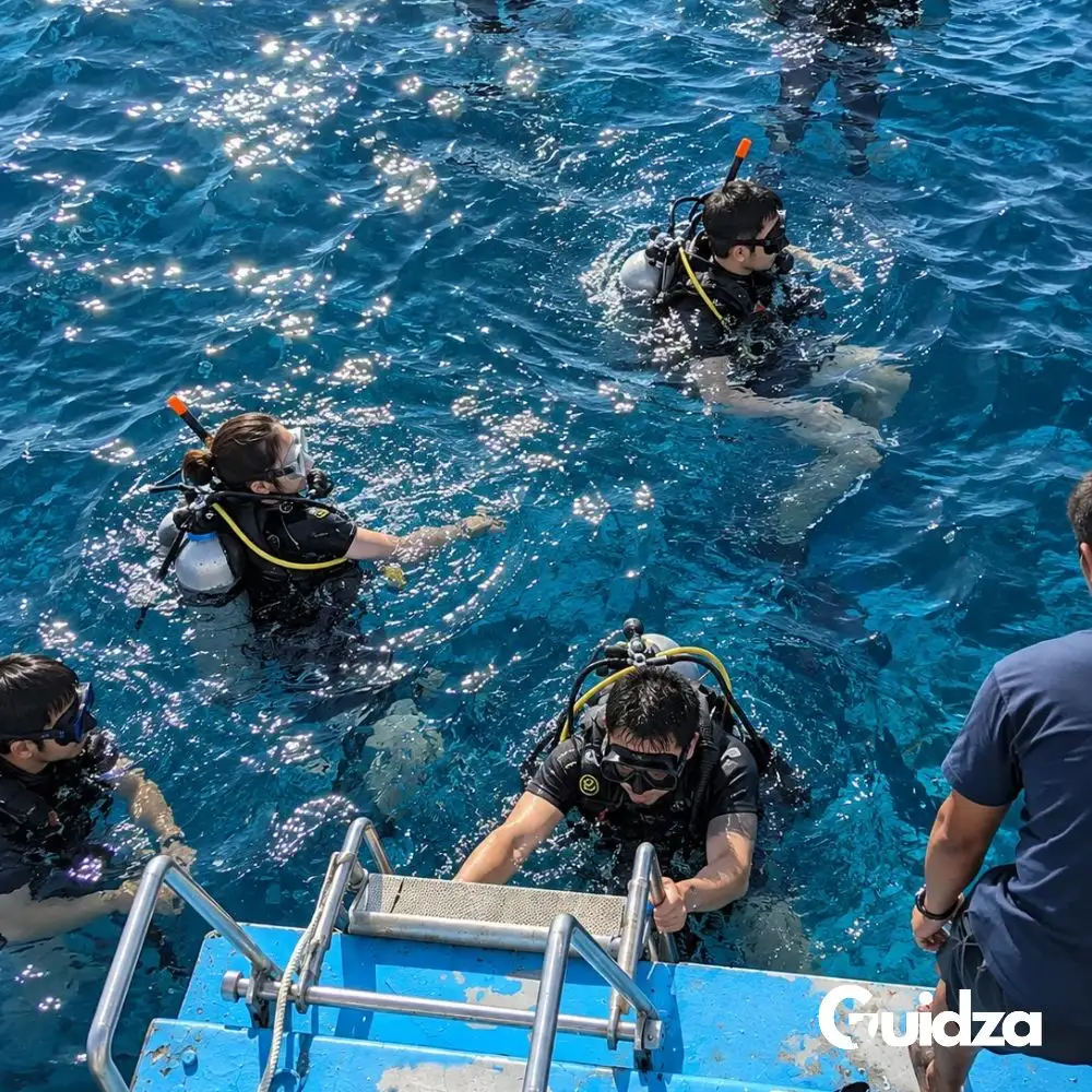 Koh Tao: Scuba Diving Day Trip with Transfers 2