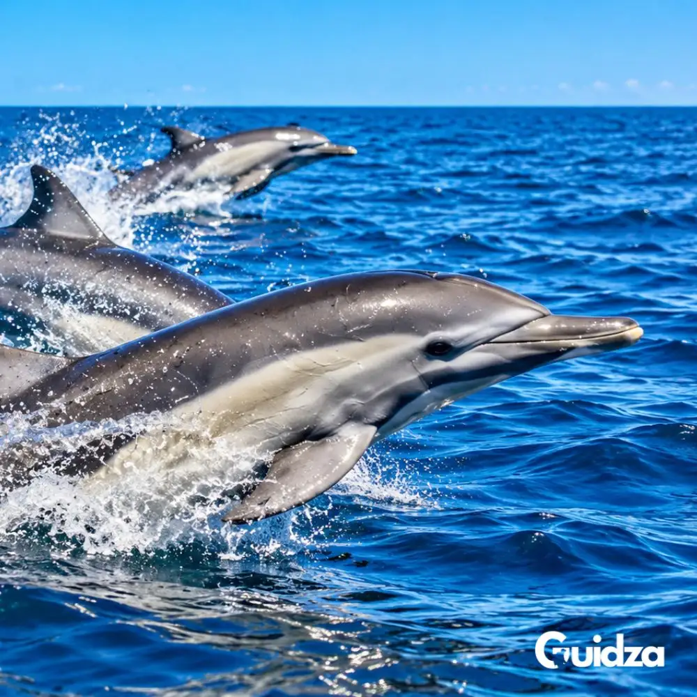 Kenya: Wasini Island & Kisite Marine Park Day Trip with Transfers 3