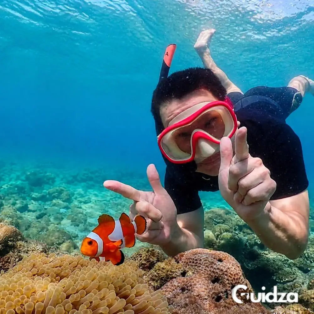 Pattaya :Scuba Diving with Transfers 3