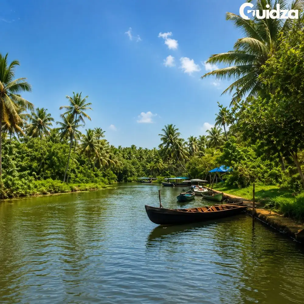 Kerala: Poovar Backwater Village Cruise with Transfers 5
