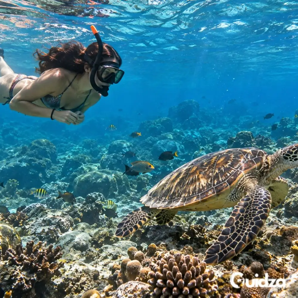 Phi Phi: Snorkeling Tour with Transfers 4