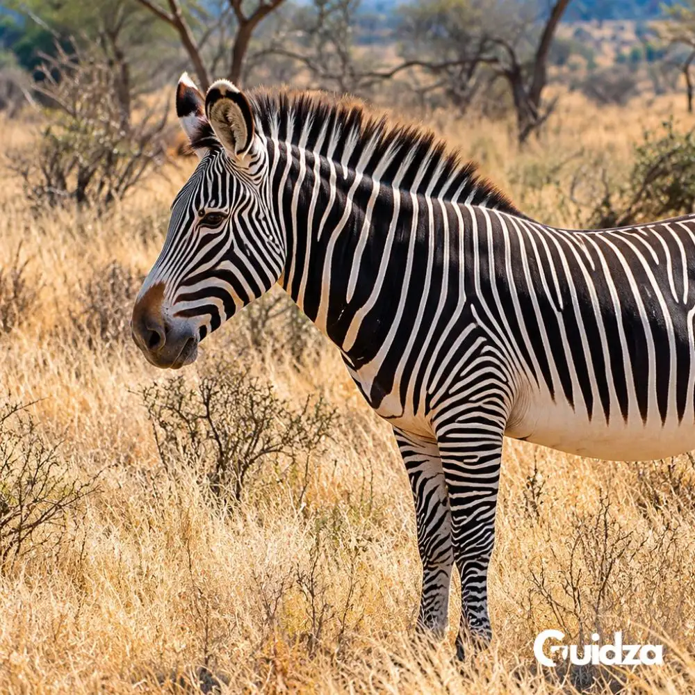 Kenya: Samburu Special Five Wildlife Safari with Transfers 5