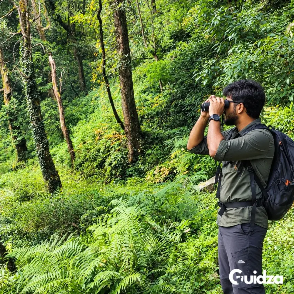Uttarakhand: Binsar Forest Photography Walk with Transfers 5