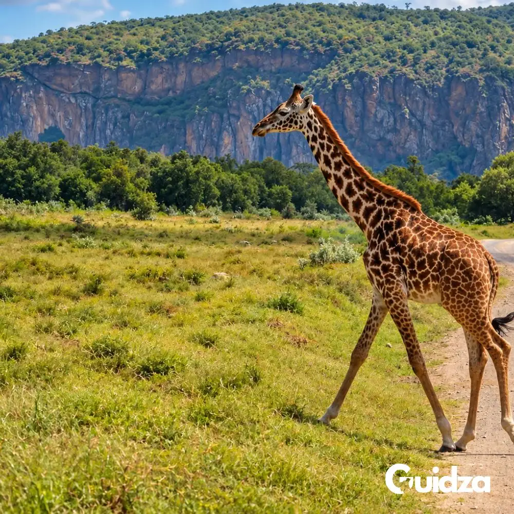 Kenya: Lake Naivasha and Hell’s Gate National Park Day Trip with Transfer 4