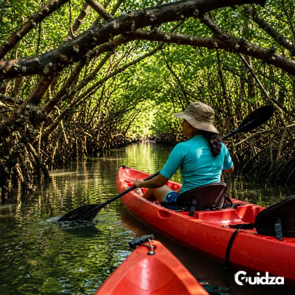 Maharashtra: Kayak Fishing & Mangrove Adventure Experience in Khavane, Vengurla with Transfers 2