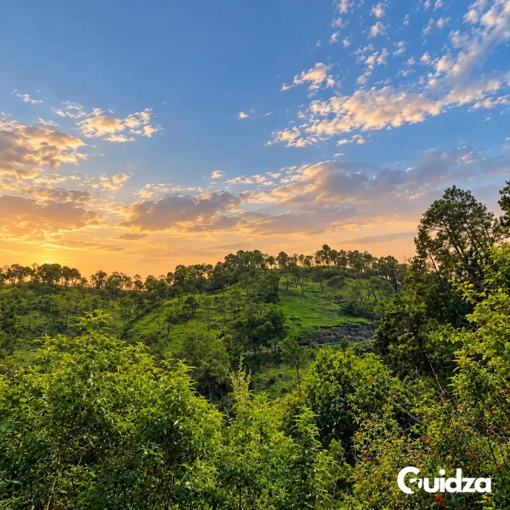 Uttarakhand: Binsar Forest Photography Walk with Transfers 3