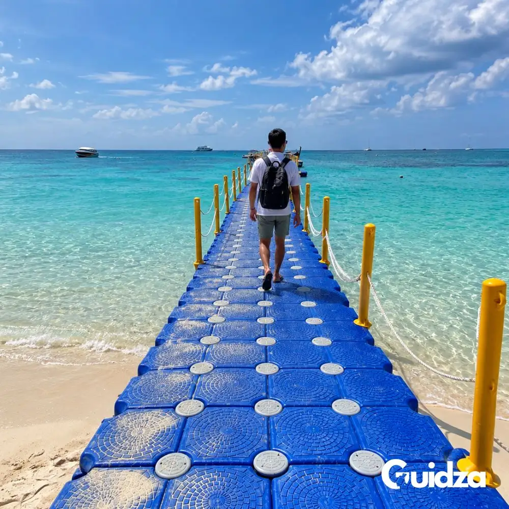 Gallery item 2