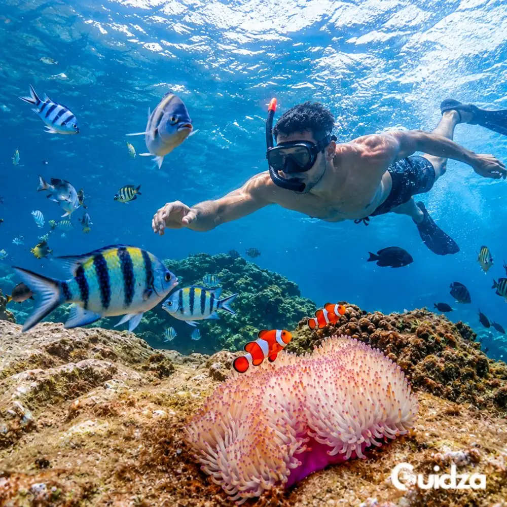 Pattaya: Snorkeling with Transfers 4