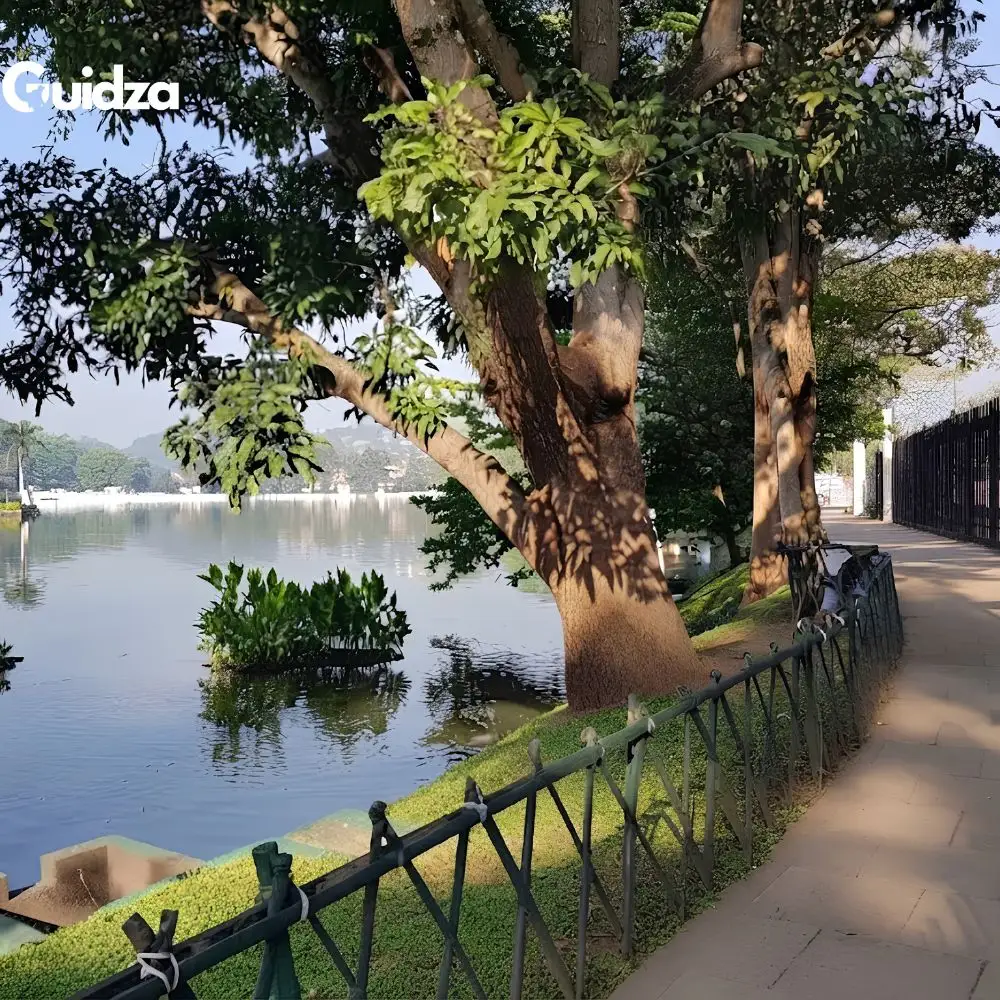 Sri Lanka: Kandy Lake & City Walking Tour with Private Transfers 2