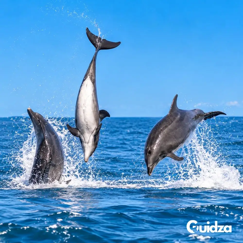 Kenya: Wasini Island Dolphin Watching Tour with Transfers 5