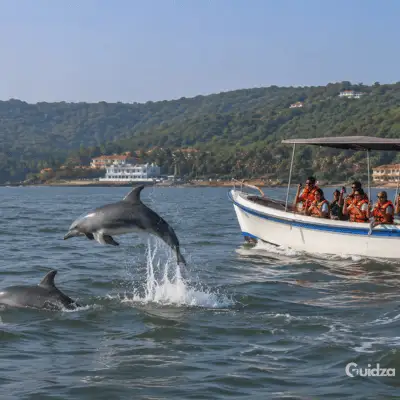 Goa: Dolphin Sightseeing Cruise with Transfers 4