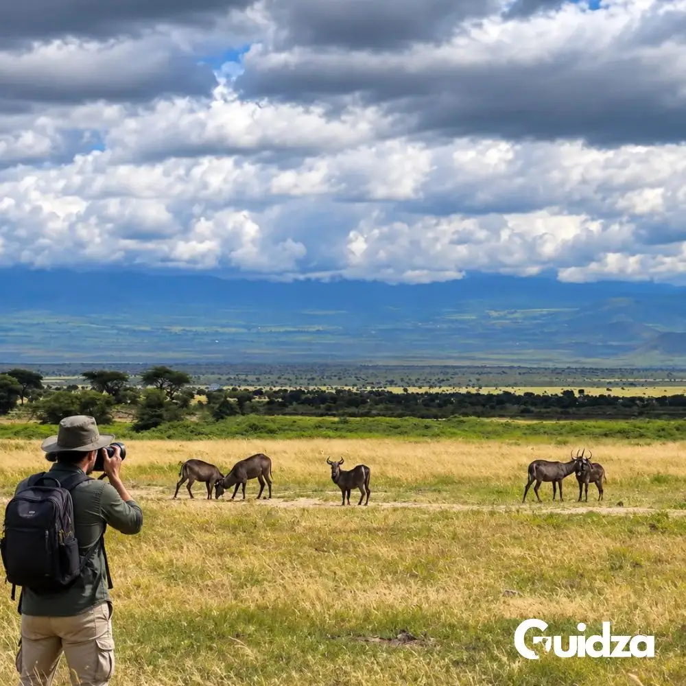 Nairobi: Day Tour to Amboseli National Park & Maasai Village with Transfers 4