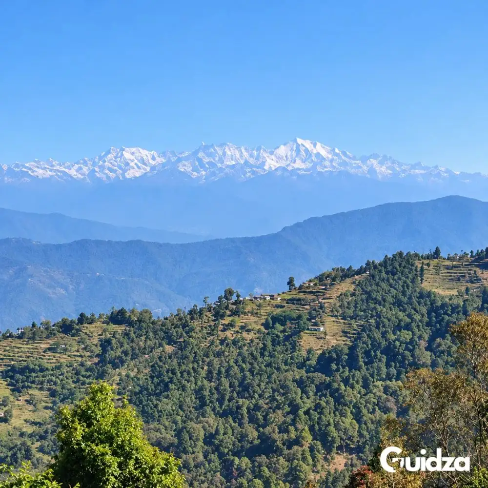 Uttarakhand: Himalayan Forest Bathing with Transfers 3